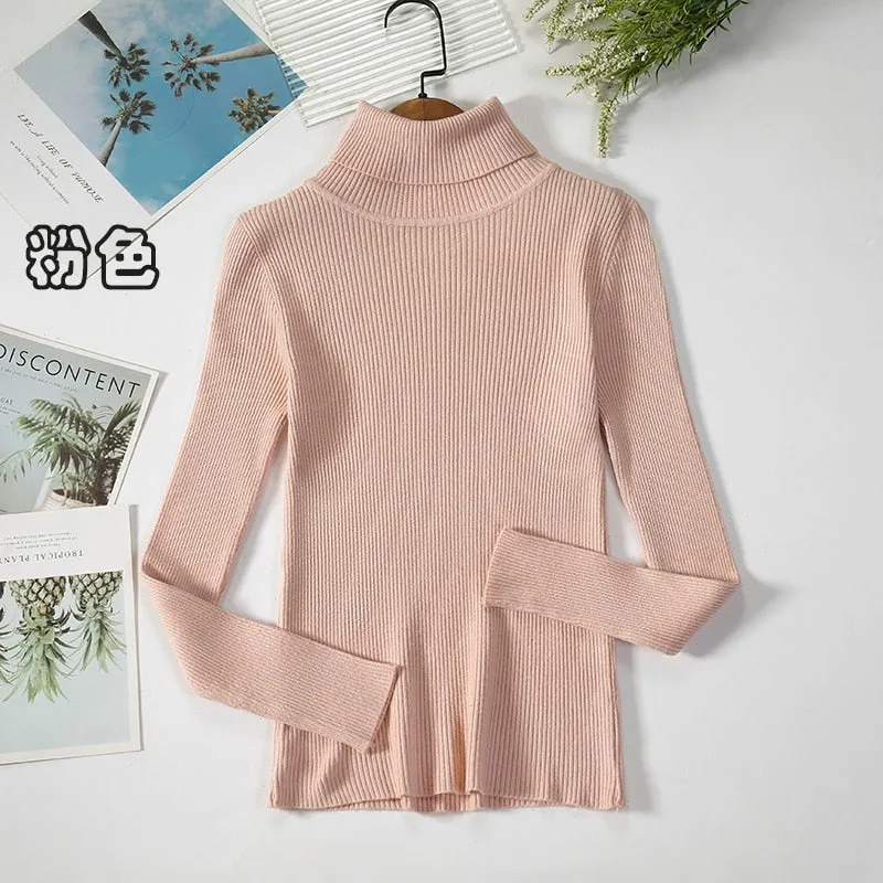 Basic Turtleneck Women Sweaters Autumn Winter Warm Pullover Slim Tops Ribbed Knitted Sweater Jumper Soft Pull Female