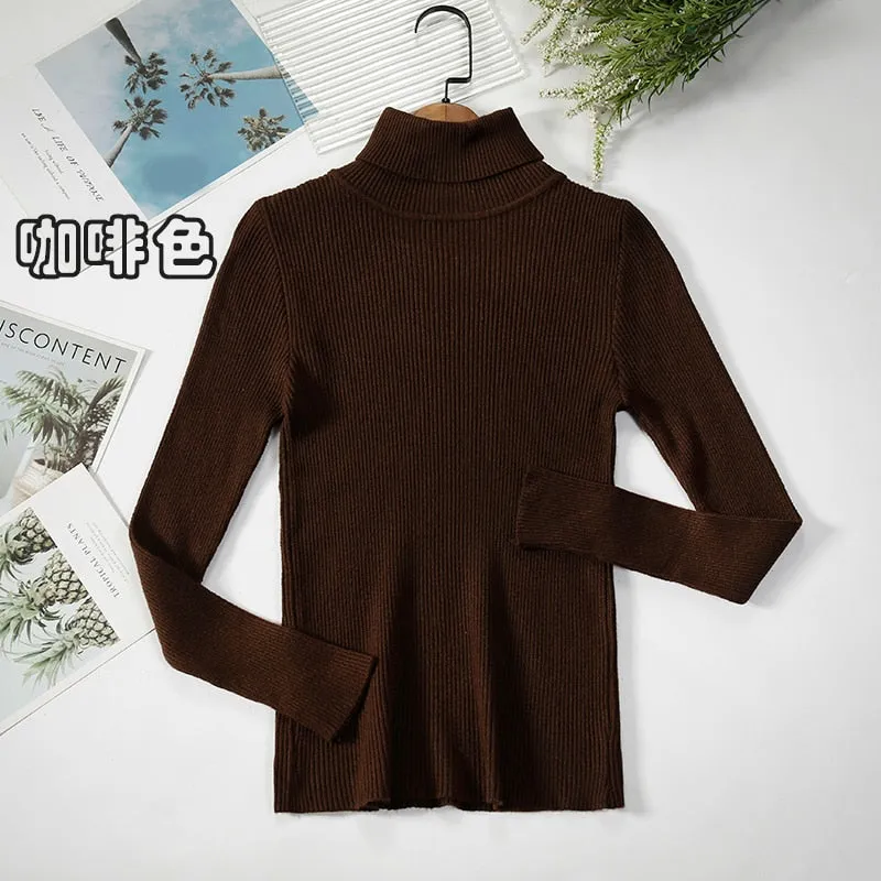 Basic Turtleneck Women Sweaters Autumn Winter Warm Pullover Slim Tops Ribbed Knitted Sweater Jumper Soft Pull Female