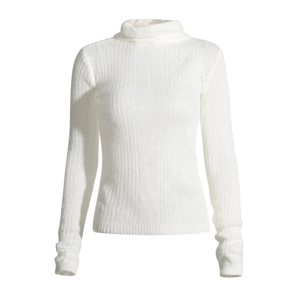 Solid Knitting Casual Sweaters For Women Turtleneck Long Sleeve Slimming Pullover Minimalist Sweater Female Fashion Style